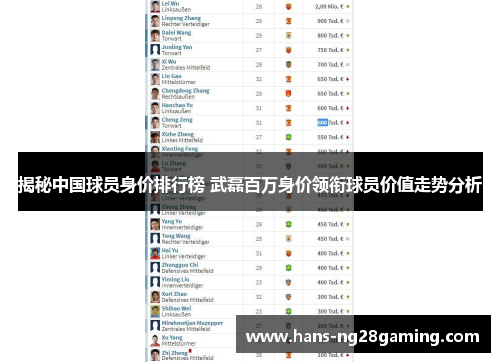 揭秘中国球员身价排行榜 武磊百万身价领衔球员价值走势分析