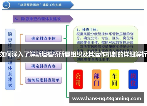 如何深入了解斯坦福桥所属组织及其运作机制的详细解析