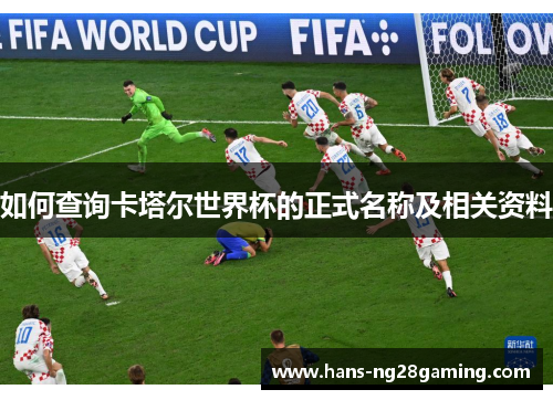 如何查询卡塔尔世界杯的正式名称及相关资料