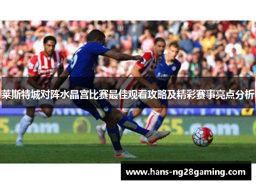 莱斯特城对阵水晶宫比赛最佳观看攻略及精彩赛事亮点分析 莱斯特城对阵水晶宫比赛最佳观看攻略及精彩赛事亮点分析