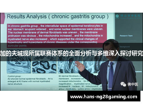 加的夫城现所属联赛体系的全面分析与多维深入探讨研究 加的夫城现所属联赛体系的全面分析与多维深入探讨研究