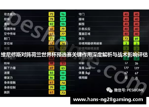 维尼修斯对阵荷兰世界杯预选赛关键作用深度解析与战术影响评估